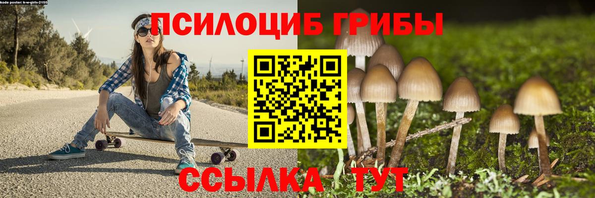 Псилоцибиновые грибы Cubensis Абинск